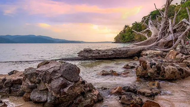 Andaman holiday packages