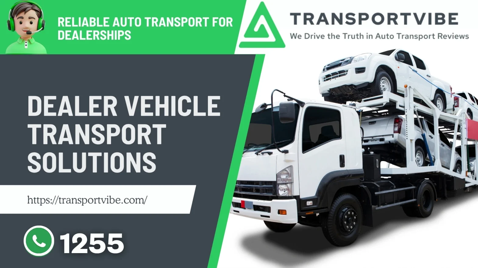 international vehicle transport