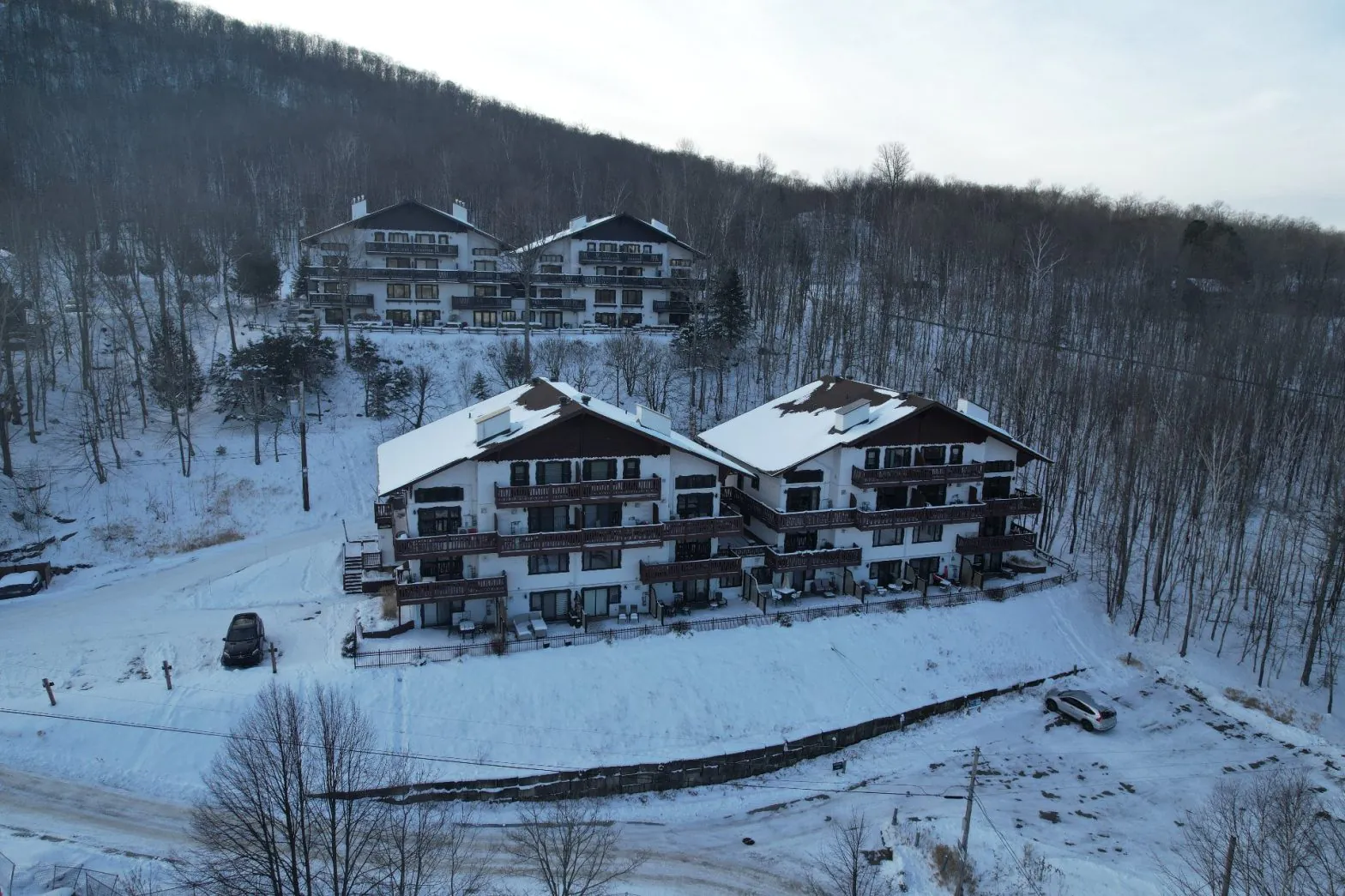 Tremblant Properties for Sale